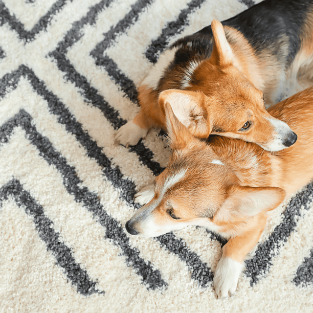 Tapijtverwarming - Verwarminghandel