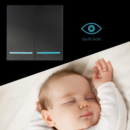 RF Duo Smart Home combi wifi - dubbele schakelaar met 2 x draadloze Wifi Switch