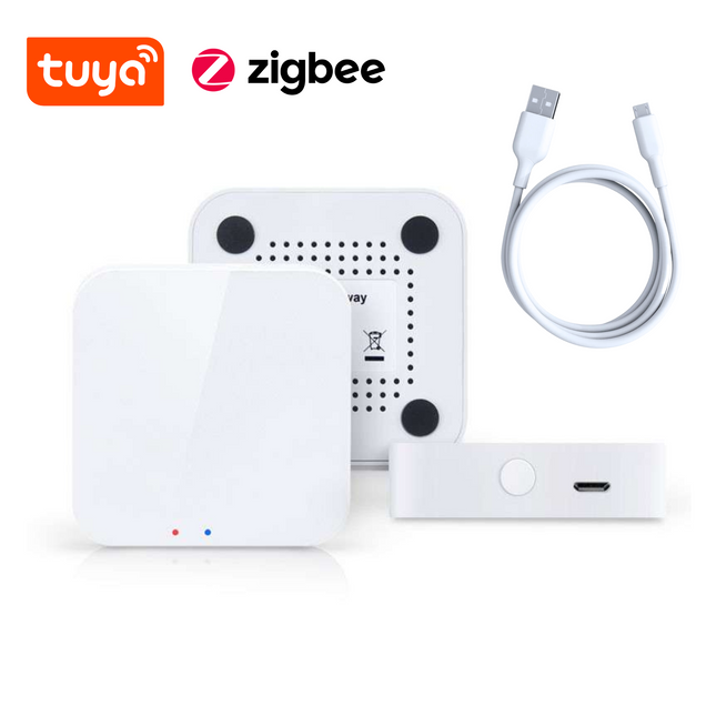 Zigbee Gateway voor Echo Zigbee