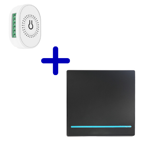 RF Home combi - Enkele schakelaar met draadloze switch