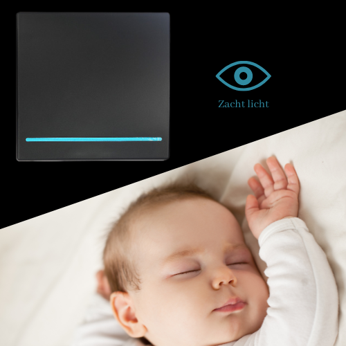 RF Smart Home combi wifi - Enkele schakelaar met draadloze Wifi switch