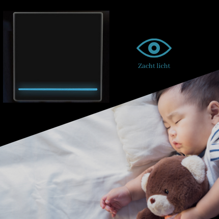 RF Home combi - Enkele schakelaar met draadloze switch